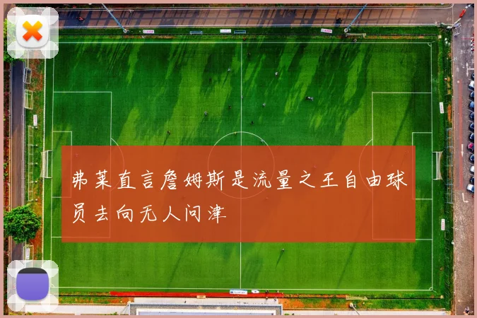 弗莱直言詹姆斯是流量之王自由球员去向无人问津