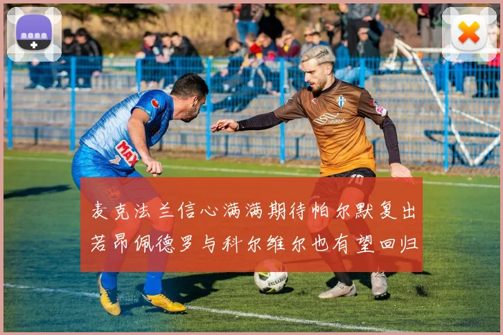 麦克法兰信心满满期待帕尔默复出若昂佩德罗与科尔维尔也有望回归