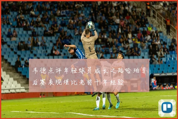 韦德点评年轻球员成长之路哈珀季后赛表现堪比老将十年经验